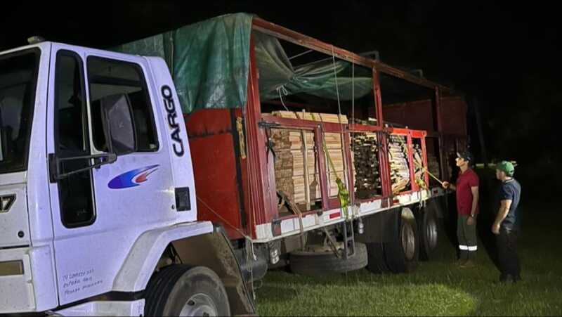 ecología decomisó madera