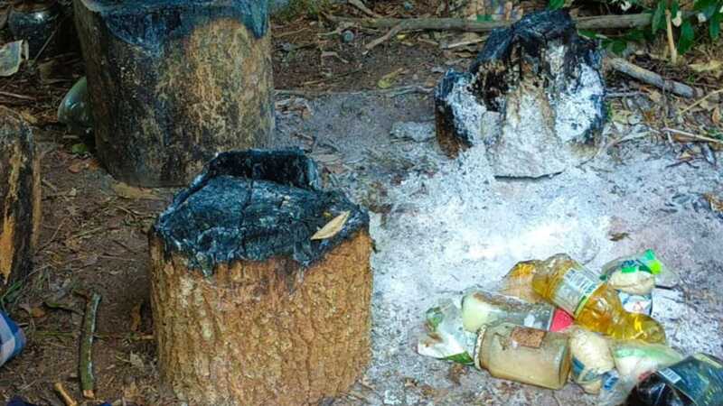 Guardaparques desarticularon campamentos ilegales y secuestraron armas y explosivos en la Biosfera Yabotí 10 WhatsApp Image 2026 03 10 at 17.40.38 4 - 9