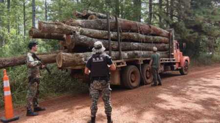 La Policía de Misiones incautó más de 22 metros cúbicos de madera nativa en dos operativos secuestran madera nativa
