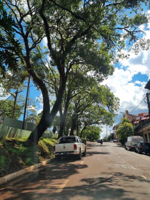 Misiones se prepara para un fin de semana caluroso y estable 4 WhatsApp Image 2026 03 12 at 19.05.41 - 3