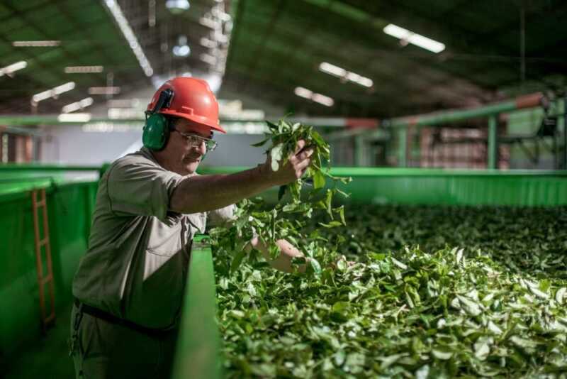 exportaciones en Misiones acuerdo con Estados Unidos