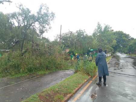 Fuerte tormenta en Posadas: casas inundadas, árboles caídos y calles afectadas WhatsApp Image 2026 03 23 at 18.00.05 - 4