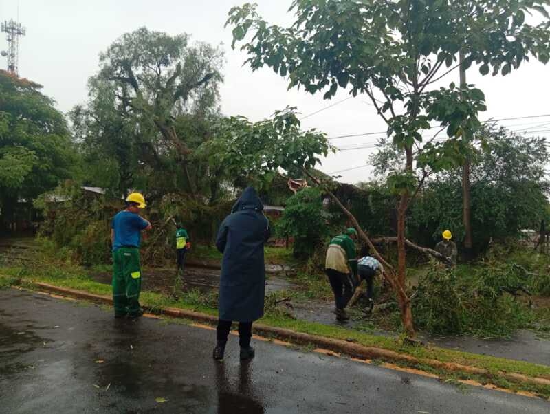 Fuerte tormenta en Posadas: casas inundadas, árboles caídos y calles afectadas 7 Temporal en Posadas: una casa inundada y caída de árboles generan complicaciones