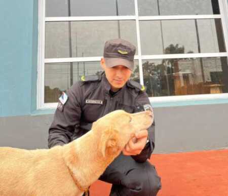 Del video al rescate: la Policía intervino en un caso de abandono animal WhatsApp Image 2026 03 24 at 13.55.02 e1774382037635 - 1