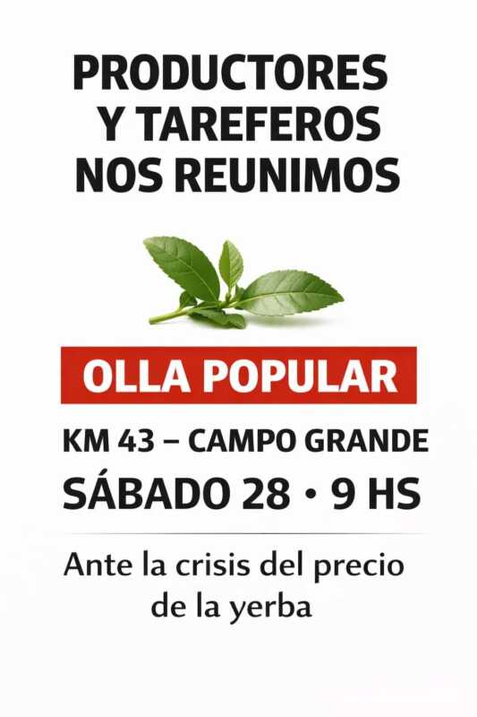 Crisis yerbatera en Misiones: productores analizan protestas en Campo Grande por el derrumbe del precio 2 WhatsApp Image 2026 03 27 at 18.56.44 - 1