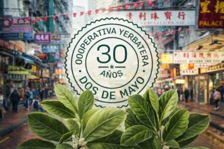 Exportación de yerba mate: cooperativa misionera abre mercado en China Primer embarque de yerba mate misionera rumbo a China, un mercado estratégico con alto potencial de consumo.