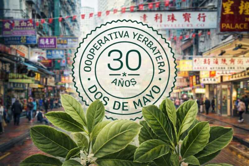 Exportación de yerba mate: cooperativa misionera abre mercado en China Primer embarque de yerba mate misionera rumbo a China, un mercado estratégico con alto potencial de consumo.
