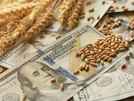 El agro liquidó menos dólares: caída del 11% en el primer cuatrimestre El agro liquidó $7.667 millones de dólares entre enero y abril, un 11% menos que en 2025. Abril mostró un repunte mensual impulsado por la cosecha gruesa.