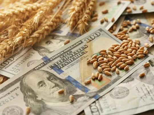 El agro liquidó menos dólares: caída del 11% en el primer cuatrimestre El agro liquidó $7.667 millones de dólares entre enero y abril, un 11% menos que en 2025. Abril mostró un repunte mensual impulsado por la cosecha gruesa.