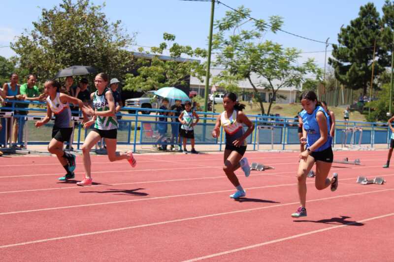 torneo