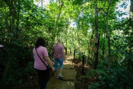 Parque Provincial Salto Encantado celebrará el Día de la Mujer con trekking, meditación y conexión con la selva El Parque Provincial Salto Encantado realizará el 8 de marzo una jornada especial por el Día de la Mujer con trekking consciente, meditación guiada y actividades de bienestar en plena selva misionera.