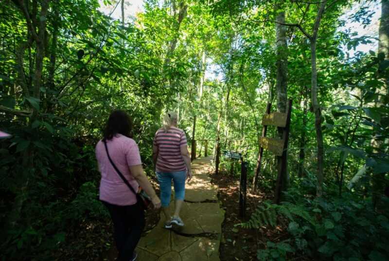 El Parque Provincial Salto Encantado realizará el 8 de marzo una jornada especial por el Día de la Mujer con trekking consciente, meditación guiada y actividades de bienestar en plena selva misionera.