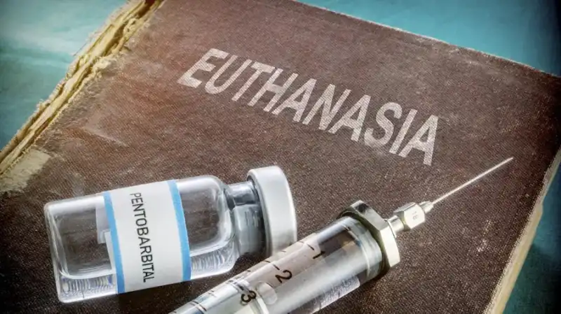 eutanasia