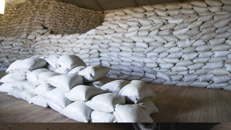 Conflicto en Medio Oriente complica exportaciones de té de Misiones: “Las navieras suspendieron las reservas hasta nuevo aviso” misiones te exportacion