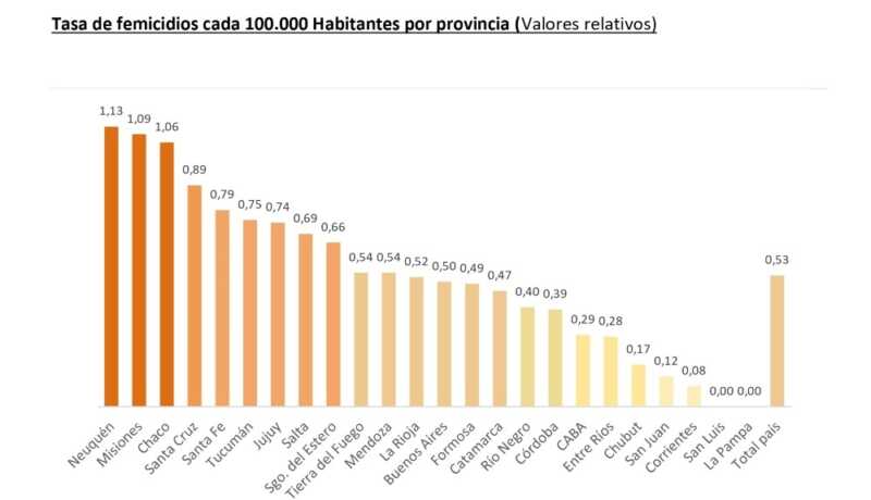 Un informe del Observatorio Adriana Marisel Zambrano ubicó a Misiones cuarta en cantidad de femicidios y segunda en la tasa cada 100 mil habitantes.