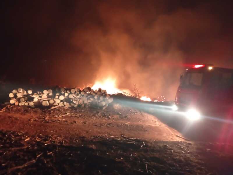 Bomberos sofocaron un incendio forestal en Capioví 2 bomberos