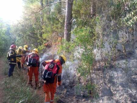 Casi 50 intervenciones por incendios en Misiones en 48 horas incendios