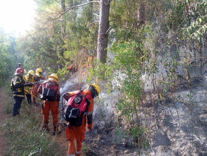 incendios