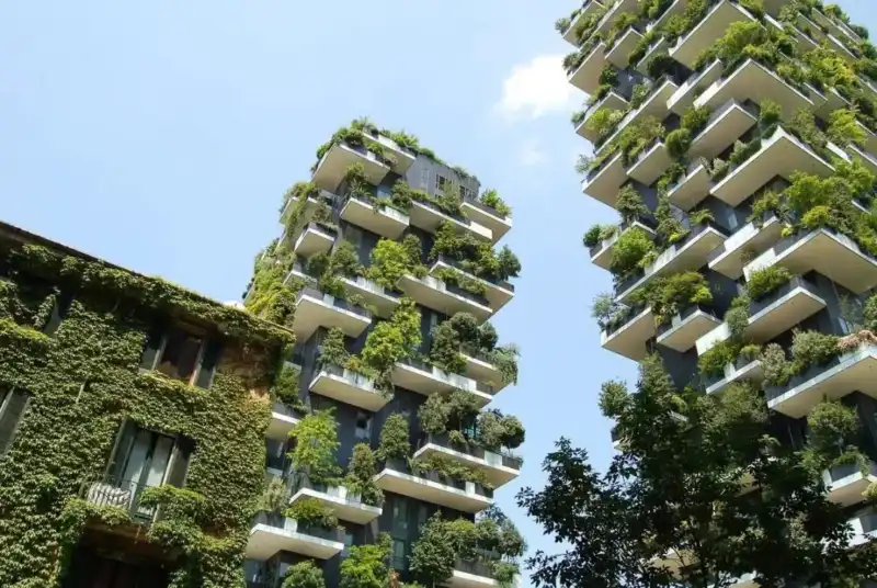 Silicon Misiones lanzó una capacitación en jardines verticales y arquitectura sostenible para impulsar el desarrollo urbano ecológico en la provincia.