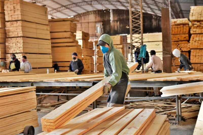 Trabajadores madereros exigen respuestas por planta paralizada Desde APICOFOM alertan por la caída del mercado interno y la pérdida de competitividad en exportaciones.