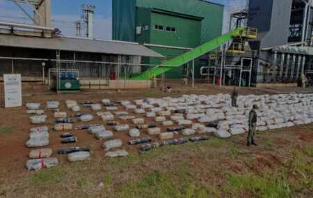 Incineran más de nueve toneladas de marihuana en Eldorado marihuana