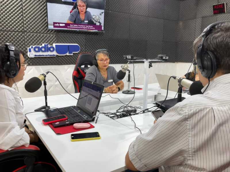 posadas neni valdez