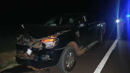 Siniestro vial en San José: una camioneta chocó contra un vacuno sobre la Ruta 14 sam josé