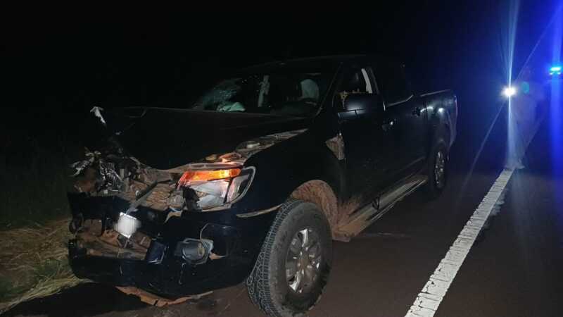 Siniestro vial en San José: una camioneta chocó contra un vacuno sobre la Ruta 14 sam josé