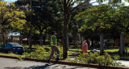 Inició el Operativo Integral de Poda en Posadas: cómo es el retiro gratuito de ramas posadas poda