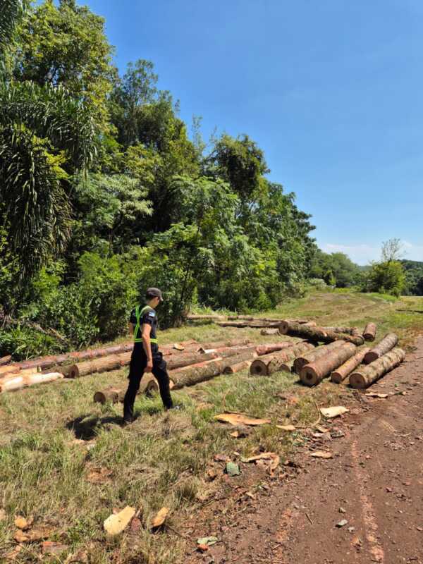 Caraguatay: un camión perdió el acoplado y la carga terminó en la banquina de la Ruta 12 2 caraguatay