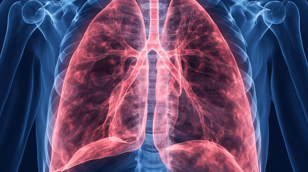 Vapeo sin nicotina: qué efectos puede tener en pulmones y corazón 3 Pulmones en riesgo: alertan por el vapeo sin nicotina