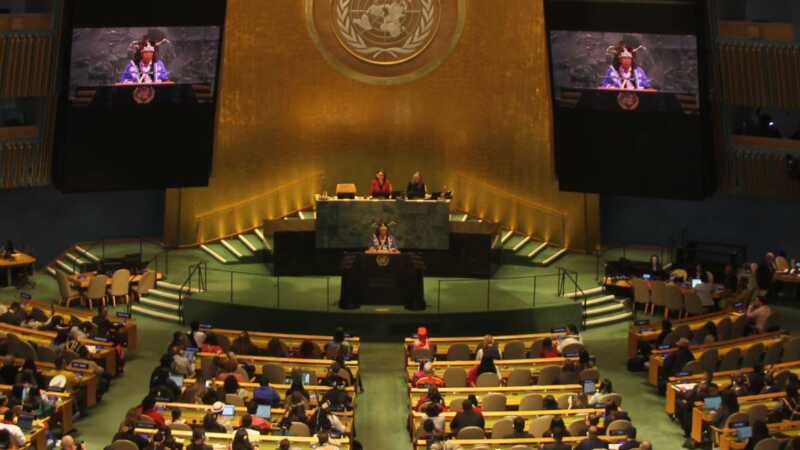“Sin territorio no hay vida”: una lideresa Mbya Guaraní de Misiones llevó su reclamo a la ONU 5 Foro Permanente de la ONU - 4