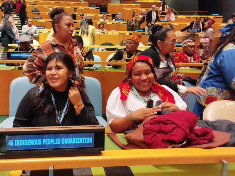 “Sin territorio no hay vida”: una lideresa Mbya Guaraní de Misiones llevó su reclamo a la ONU 3 Keila ONU 1 - 2