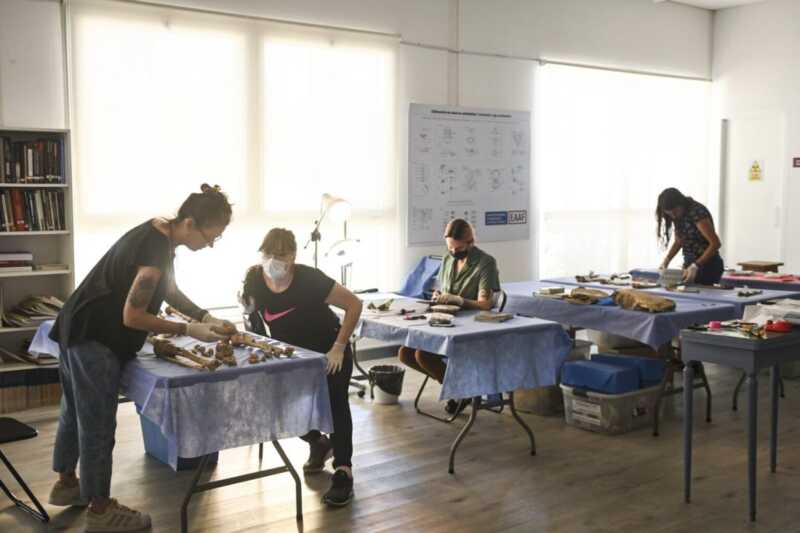 Terrorismo de Estado: cuerpos arrojados al Paraná 4 Laboratorio Antropologia 1536x1024 1 1100x733 1 - 3