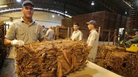 Misiones reclama $20 mil millones retenidos del Fondo del Tabaco y crece la tensión con Nación Misiones