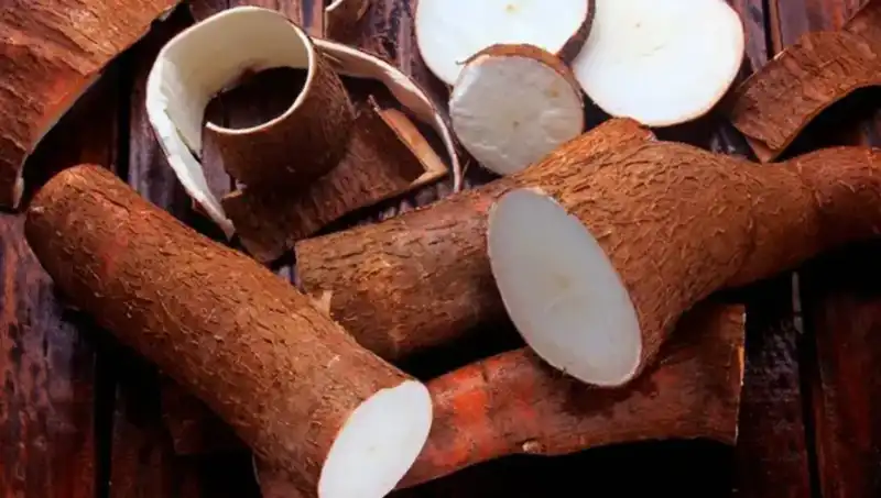 Misiones pidió a Nación bajar el IVA a la harina de mandioca para equiparar condiciones con el trigo Misiones