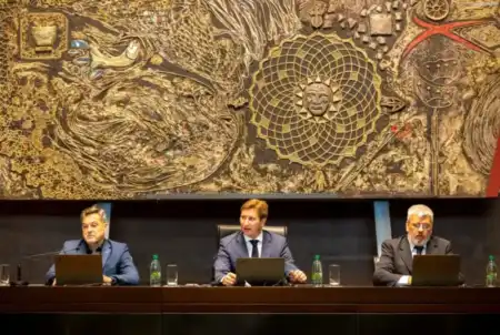 Diputados impulsan la creación de un régimen fiscal diferencial para Misiones Entre los proyectos destacados figuran programas de impulso productivo, preservación patrimonial y distinciones ecológicas para instituciones y emprendedores.
