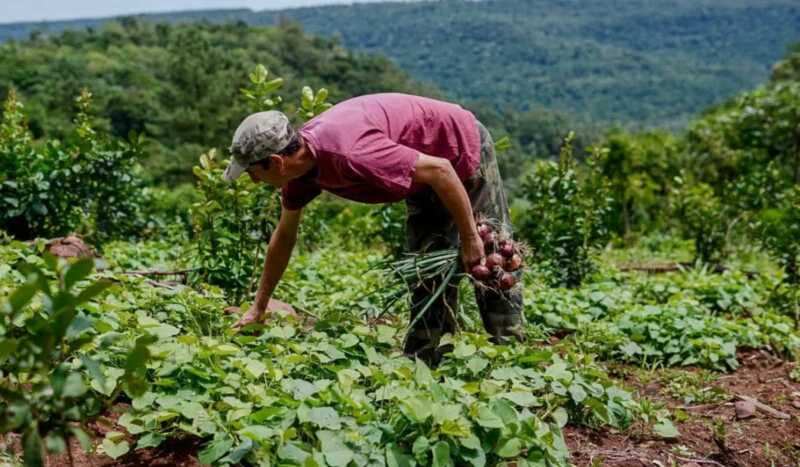 Misiones lanzó “Ahora Chacra” con reintegros para productores Misiones