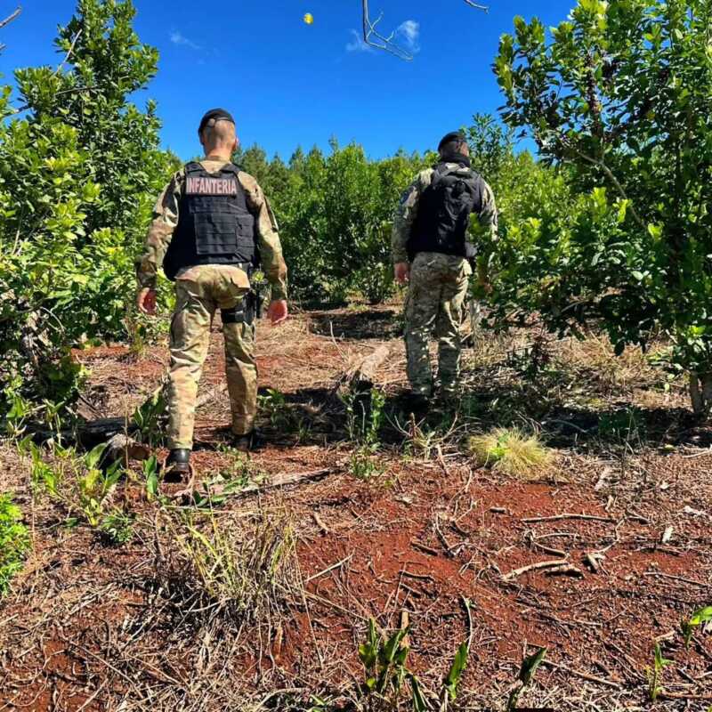 “No hay ni una pista”: crece la incertidumbre por la desaparición de Nicolás Muñoz en San Ignacio 1 Salió a llevar alimento a unos perros y nunca regresó: la desaparición de Nicolás Muñoz mantiene en vilo a toda la comunidad.