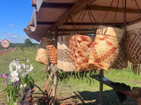 Innovación sustentable en Puerto Libertad: aldea Mbyá ya produce con energía solar Hito en Puerto Libertad: La aldea Mbyá Guaraní Guapo'y estrena paneles solares en sus puestos de artesanías sobre la Ruta 12. Energía limpia para el desarrollo comunitario y turístico.