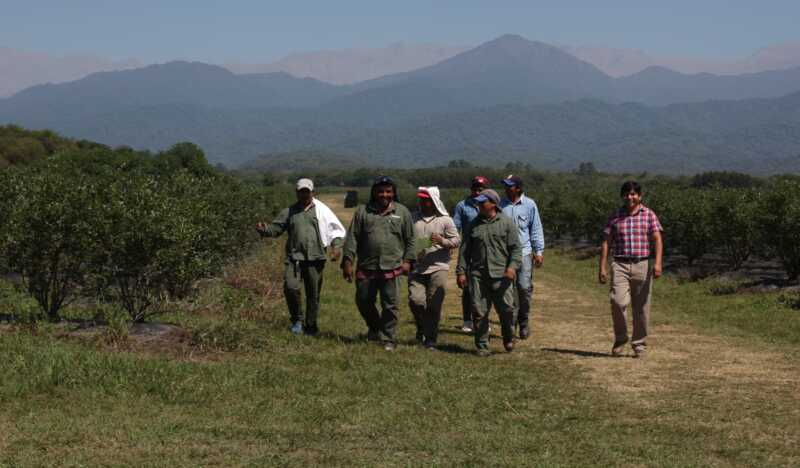 RENATRE y OIT alertan sobre la vulnerabilidad del trabajo migrante en el campo 1 RENATRE