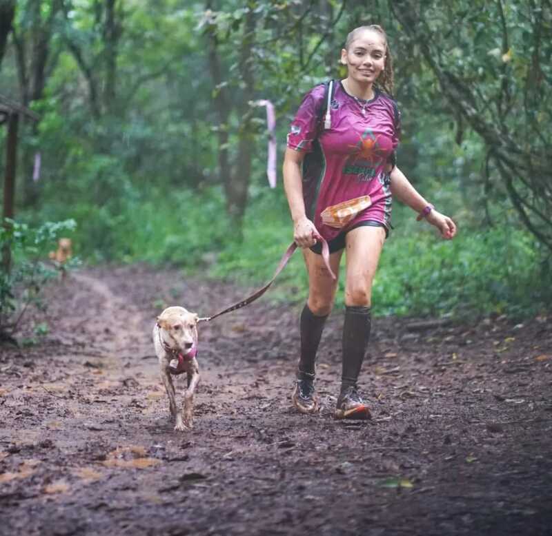 Trail