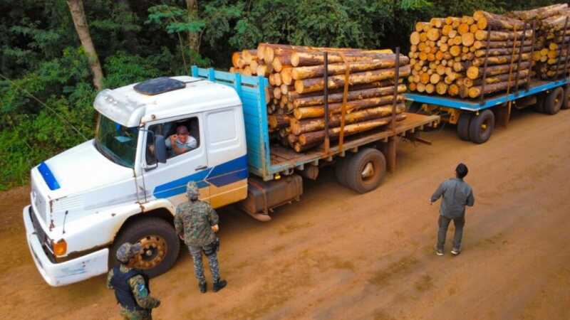 Amplio operativo de control forestal en Misiones: detectan infracciones y frenan actividades ilegales 2 WhatsApp Image 2026 04 14 at 20.24.04 1 - 1