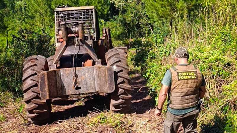Amplio operativo de control forestal en Misiones: detectan infracciones y frenan actividades ilegales 4 WhatsApp Image 2026 04 14 at 20.24.04 - 3