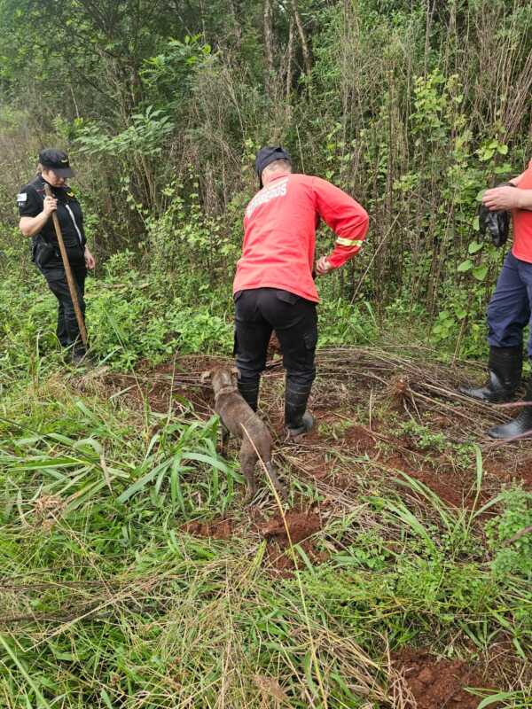 Guaraní: operativo por presunto maltrato animal sin hallazgos 6 WhatsApp Image 2026 04 15 at 18.03.033333 - 5