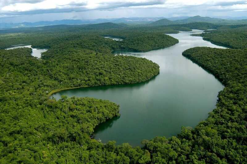 Restaurar la selva para conectar lo que queda: el proyecto que busca recomponer la Mata Atlántica desde Misiones 3 WhatsApp Image 2026 04 24 at 16.48.07 2 - 2