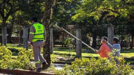 Posadas pondrá en marcha el Operativo Integral de Poda desde el 4 de mayo Operativo Poda Posadas