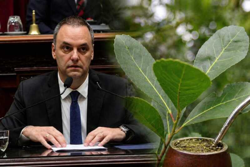 Herrera Ahuad cruzó a Adorni por la crisis yerbatera: “Defienden una minúscula concentración del poder económico” 3 El Gobierno defendió la desregulación del mercado yerbatero y evitó fijar posición sobre el precio en origen.