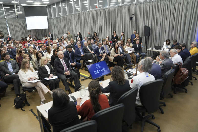 Ley de Glaciares: una vecina de Misiones expuso en audiencia histórica y advirtió por el acceso al agua Más de 105 mil inscriptos y menos del 1% de exposición: una audiencia récord con participación limitada.