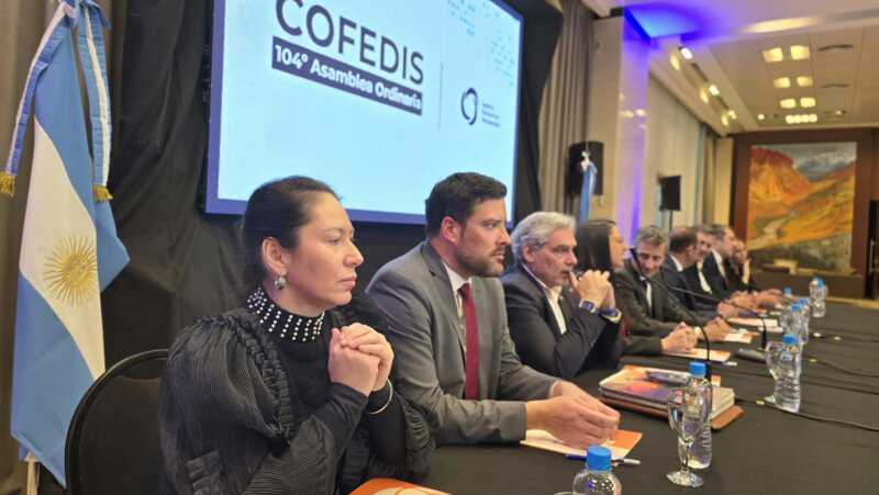 Pauli Pisak denunció una crisis “cruel” en discapacidad: “Hay abandono total del sistema” 5 cofedis pauli - 4